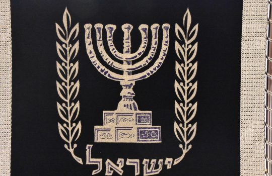 Israeli residency2